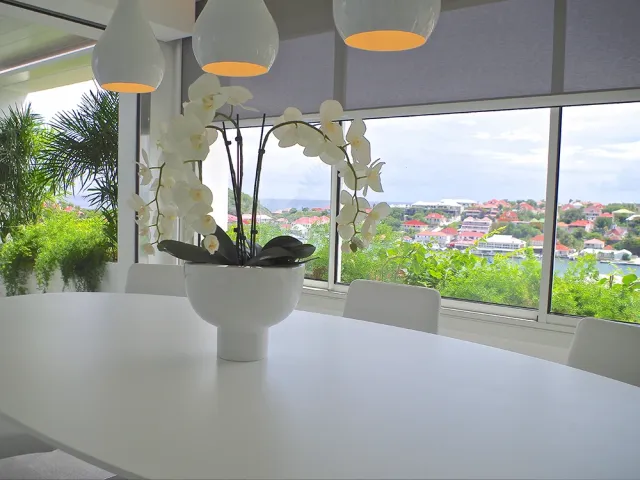 Les Jardins de Gustavia
